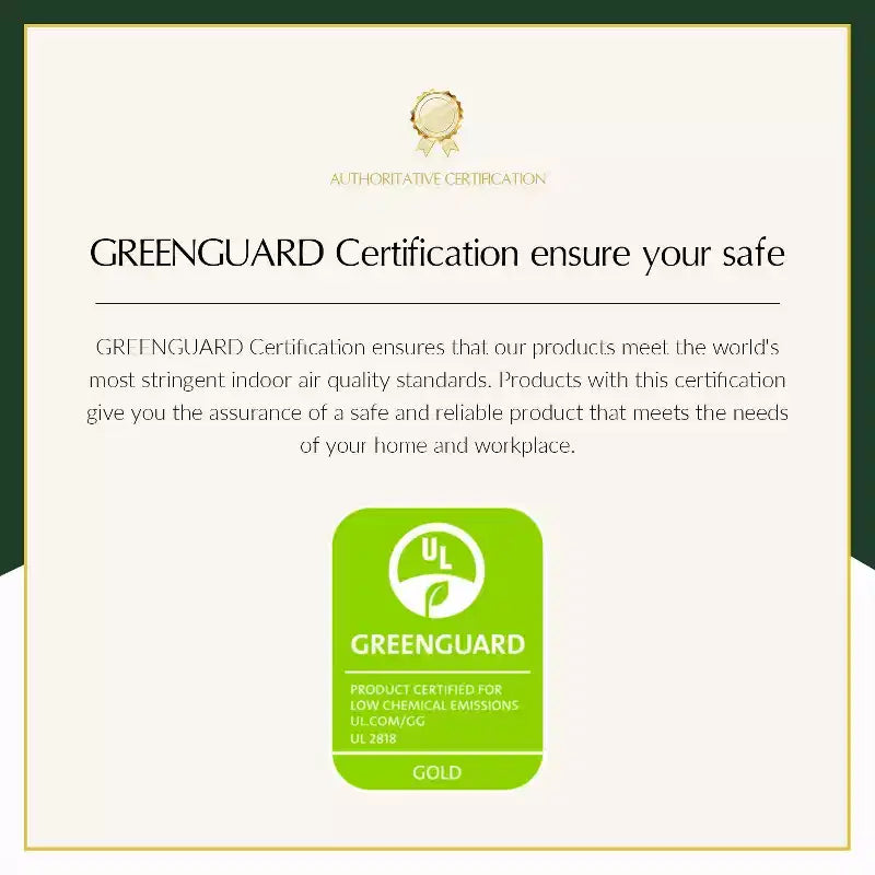 Poltrona Transizionale in Pelle Vegana con Borchie e Gambe in Legno Massello per Camera da Letto e Soggiorno